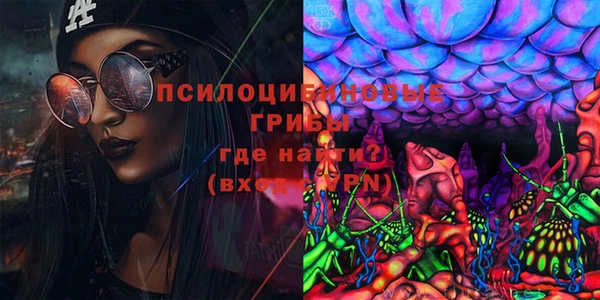 СК Покачи