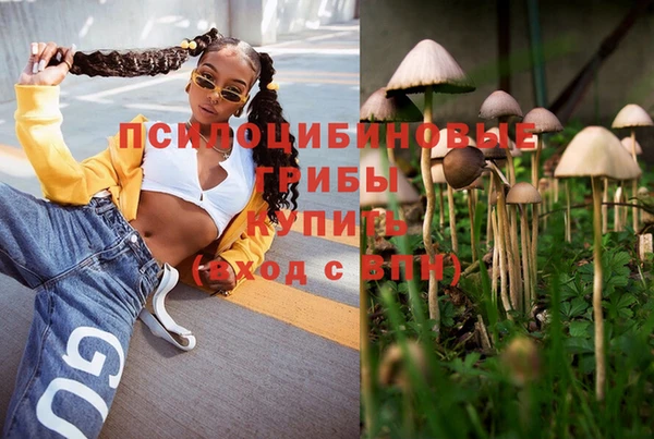 круглые Аркадак